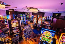sunc11 Sportsbook